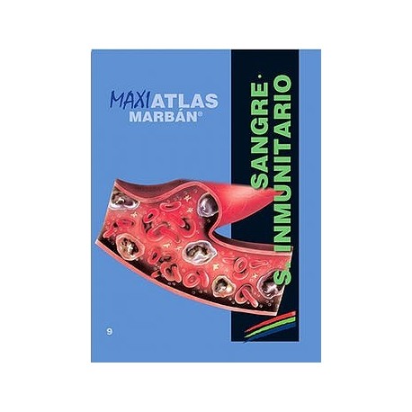 MAXI ATLAS 3 MUSCULOS