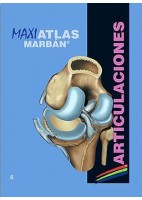 MAXI ATLAS 5 ARTICULACIONES