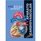 MAXI ATLAS 6 APARATO CARDIOVASCULAR