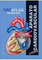 MAXI ATLAS 6 APARATO CARDIOVASCULAR