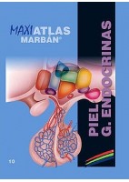 MAXI ATLAS 10 PIEL. GLANDULAS ENDOCRINAS