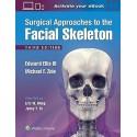 SURGICAL APPROACHES TO THE FACIAL SKELETON