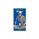 ATLAS DE ANATOMIA. POCKET MASTER