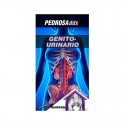 GENITOURINARIO DDX MANUAL