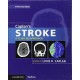 CAPLAN'S STROKE. A CLINICAL APPROACH