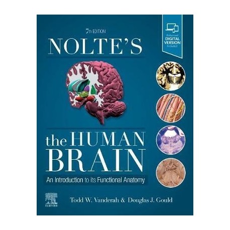 NOLTE'S THE HUMAN BRAIN