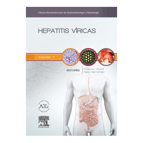 HEPATITIS VIRICAS (CLINICAS IBEROAMERICANAS DE GASTROENTEROLOGIA Y HEPATOLOGIA VOL. 7)