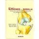 DANIEL.S LESIONES DE RODILLA
