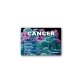 CANCER - POCKET