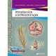 INTRODUCCION A LA NEUROCIRUGIA (LIBRO + EBOOK)
