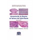 INTERPRETACION DE BIOPSIAS DE TUMORES DE TEJIDO BLANDO