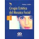 CIRUGIA ESTETICA DEL MOSAICO FACIAL, 2 VOLS. + DVD