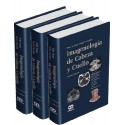 IMAGENOLOGIA DE CABEZA Y CUELLO, 3 VOLS.