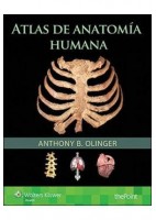 ATLAS DE ANATOMIA HUMANA