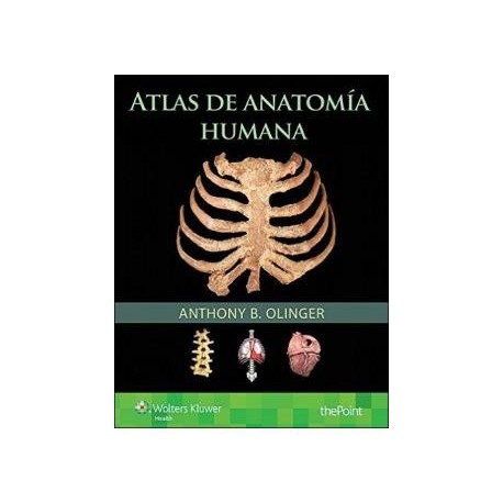 ATLAS DE ANATOMIA HUMANA