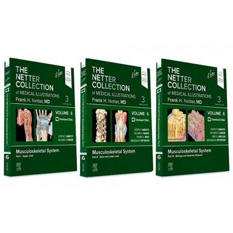THE NETTER COLLECTION OF MEDICAL ILLUSTRATIONS. VOLUME 6 MUSCULOSKELETAL SYSTEM PACKAGE (3 VOLUME SET)