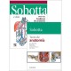 LOTE SOBOTTA TEXTO DE ANATOMIA + SOBOTTA CUADERNO DE ANATOMIA PARA COLOREAR