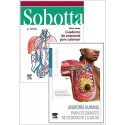 LOTE ANATOMIA HUMANA PARA ESTUDIANTES DE CIENCIAS DE LA SALUD + SOBOTTA CUADERNO DE ANATOMIA PARA COLOREAR