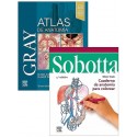 LOTE GRAY ATLAS DE ANATOMIA + SOBOTTA CUADERNO DE ANATOMIA PARA COLOREAR