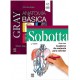 LOTE GRAY ANATOMIA BASICA + SOBOTTA CUADERNO DE ANATOMIA PARA COLOREAR