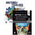 LOTE NETTER ANATOMIA HUMANA. ABORDAJE REGIONAL + PATTON ANATOMIA Y FISIOLOGIA