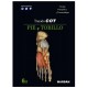 TRATADO COT 6.2. PIE Y TOBILLO