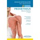PROMETHEUS. ATLAS DE ANATOMIA. FICHAS DE AUTOEVALUACION. TOMO 1: APARATO LOCOMOTOR