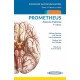PROMETHEUS. ATLAS DE ANATOMIA. FICHAS DE AUTOEVALUACION. TOMO 3: CABEZA Y CUELLO