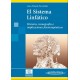 EL SISTEMA LINFATICO. HISTORIA, ICONOGRAFIA E IMPLICACIONES FISIOTERAPEUTICAS