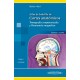 ATLAS DE BOLSILLO DE CORTES ANATOMICOS TOMOGRAFIA COMPUTARIZADA Y RESONANCIA MAGNETICA (VOL.1) CABEZA Y CUELLO