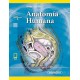 ANATOMIA HUMANA (TOMO 2) INCLUYE VERSION DIGITAL