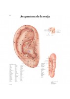 ACUPUNTURA DE LA OREJA (VR-3821)