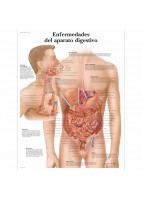 ENFERMEDADES DEL APARATO DIGESTIVO (VR-3431)