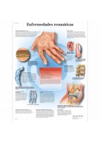 ENFERMEDADES REUMATICAS (VR-3124)