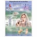 DEPENDENCIA DE LA NICOTINA (VR-3793)