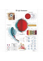 EL OJO HUMANO (VR-3226)