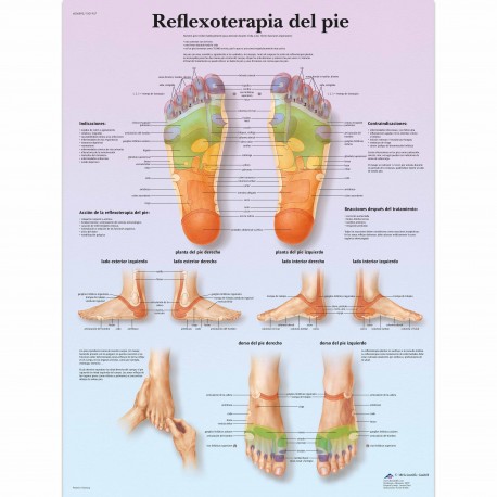 REFLEXOTERAPIA DEL PIE (VR-3810)