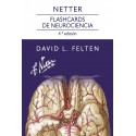 NETTER. FLASHCARDS DE NEUROCIENCIA (INCLUYE VERSION DIGITAL EN INGLES)