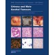 WHO CLASSIFICATION OF TUMOURS: URINARY AND MALE GENITAL TUMOURS
