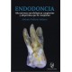 ENDODONCIA. ALTERACIONES MORFOLOGICAS CONGENITAS Y ADQUIRIDAS QUE LA COMPLICAN