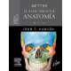 NETTER. FLASHCARDS DE ANATOMIA. CABEZA Y CUELLO