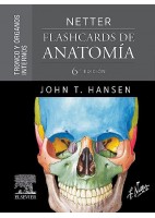 NETTER. FLASHCARDS DE ANATOMIA. TRONCO Y ORGANOS INTERNOS
