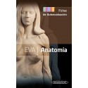 EVA. ANATOMIA. FICHAS DE AUTOEVALUACION