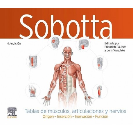 SOBOTTA. TABLAS DE MUSCULOS, ARTICULACIONES Y NERVIOS