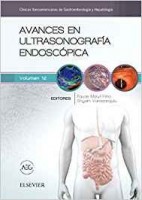 AVANCES EN ULTRASONOGRAFIA ENDOSCOPICA (CLINICAS IBEROAMERICANAS DE GASTROENTEROLOGIA Y HEPATOLOGIA VOL. 12)