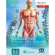 DIAGNOSTICO FISICO DEL DOLOR. ATLAS DE SIGNOS Y SINTOMAS