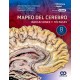 MAPEO DEL CEREBRO. INDICACIONES Y TECNICAS