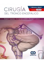 CIRUGIA DEL TRONCO ENCEFALICO