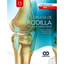 CIRUGIA DE RODILLA. TECNICAS Y DIRECTRICES