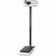 BASCULA MECANICA DE COLUMNA CON TALLIMETRO. CLASE PROFESIONAL (CAPAZIDAD 200 Kg. GRADUACION 100 G.)